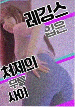 归路电视剧免费完整版观看高清